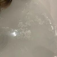 画像1286
